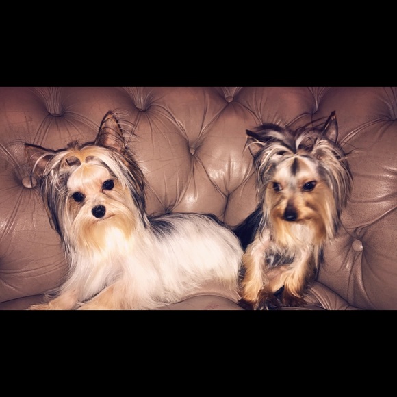 Sharing My little Luvs💕